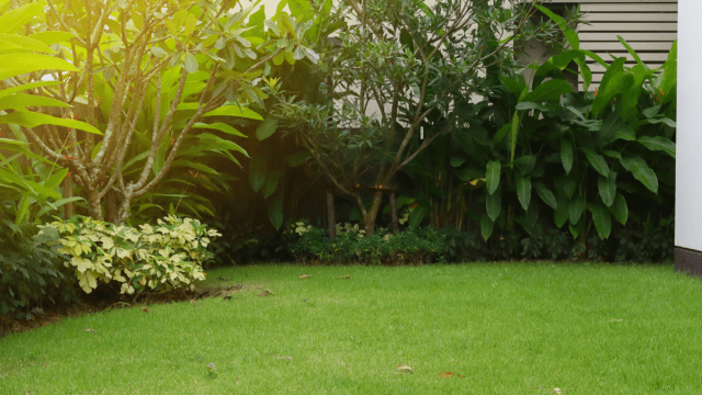 instagram-garden