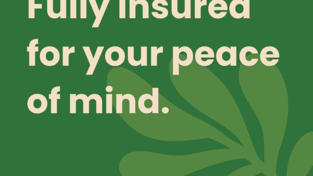 intro-graphics-insurance