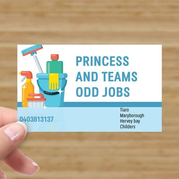 Princess and her teams odd jobs