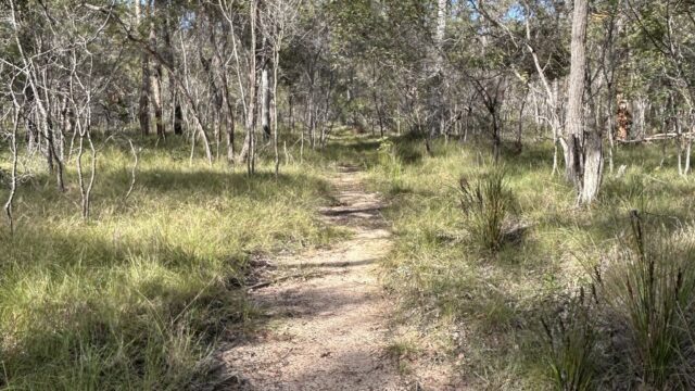 Bushtrack