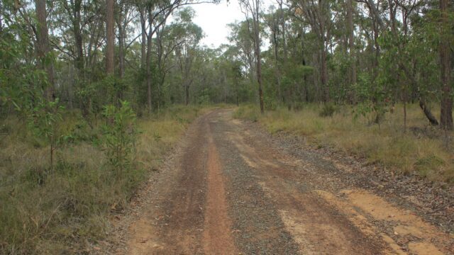 Homestead-Track