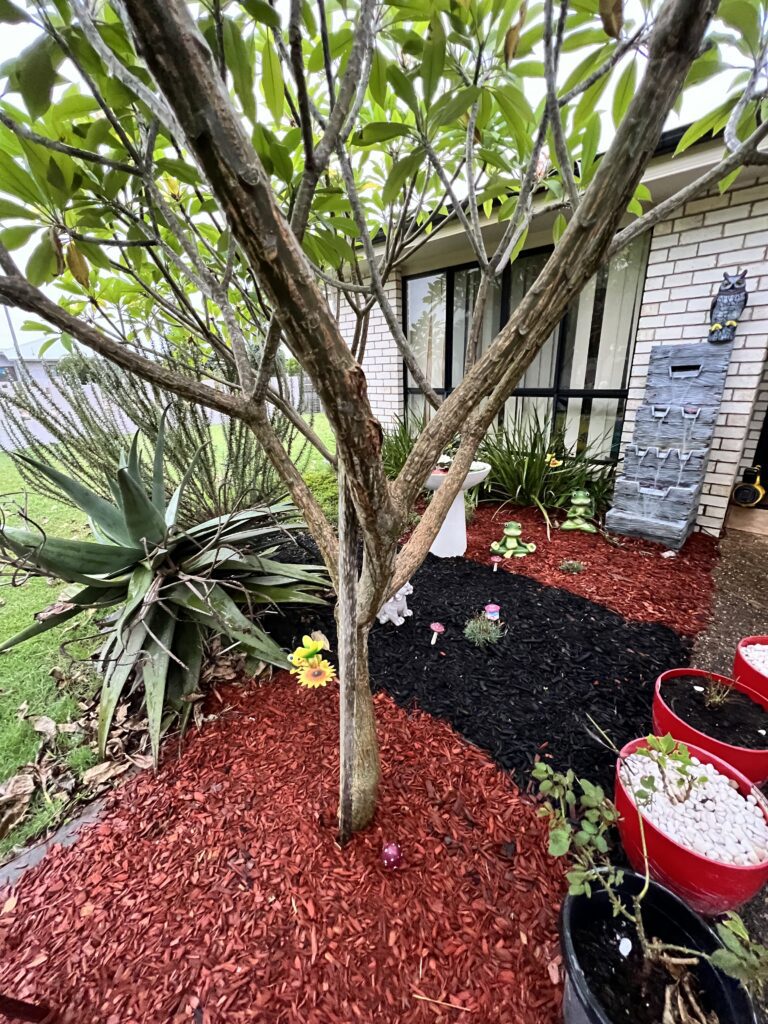 Lawn Help — photo 1
