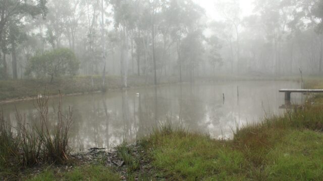 Misty-Dam