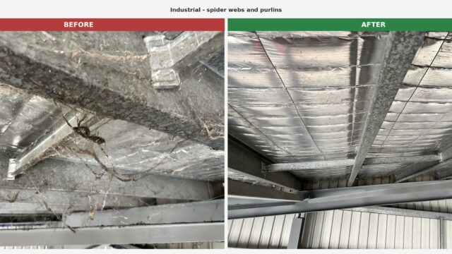 industrial_spider_webs_and_purlins