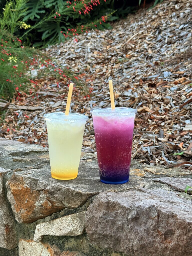 Sip’n Dirty — photo 3