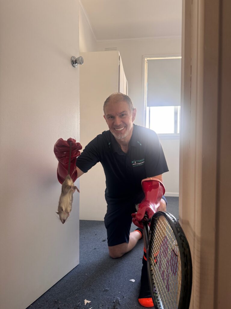 NoTrace Pest Control & Carpet Cleaning — photo 1
