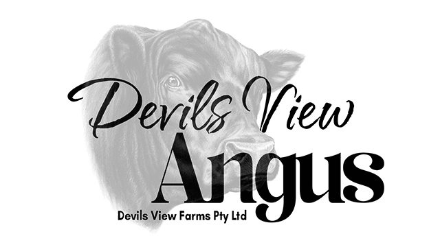 Main Logo