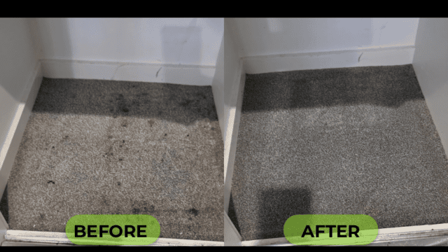 PROFESSIONAL-STAIN-REMOVAL