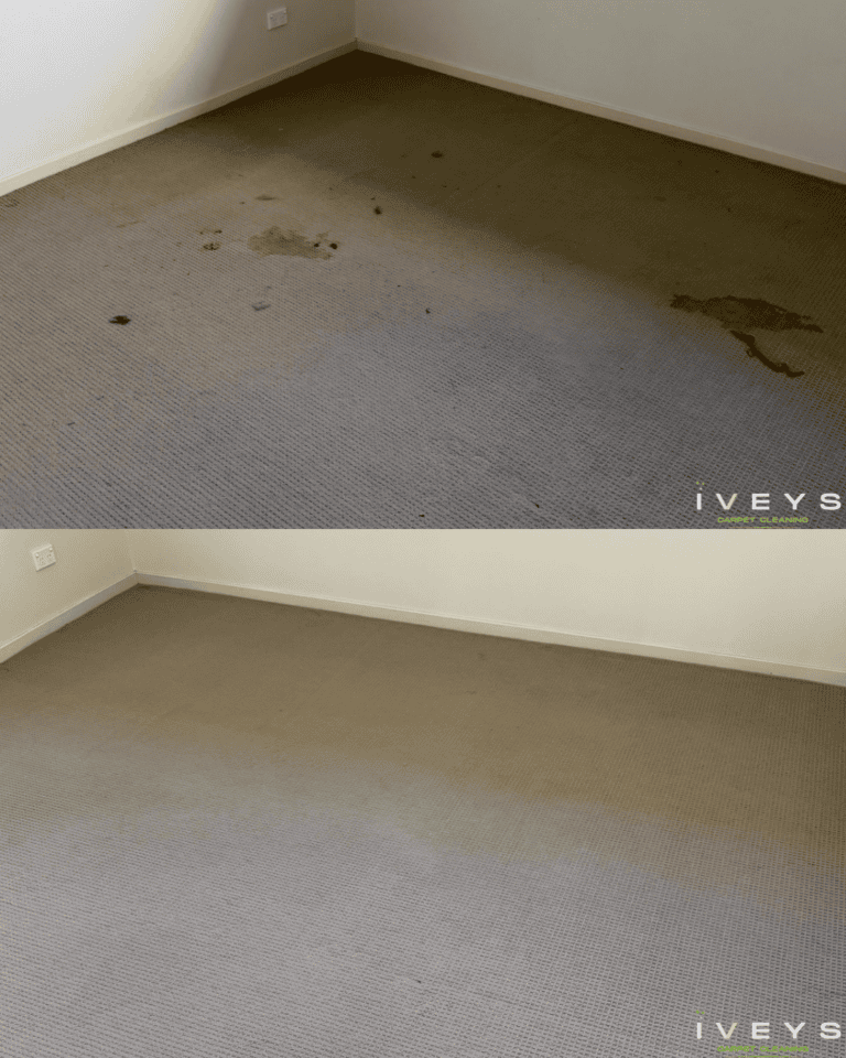 Iveys Carpet Cleaning — photo 2