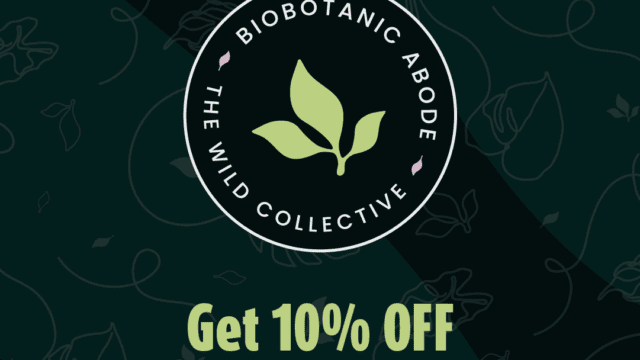 Biobotanic-Abode-Hervey-Bay-Just-Locals-Image-7