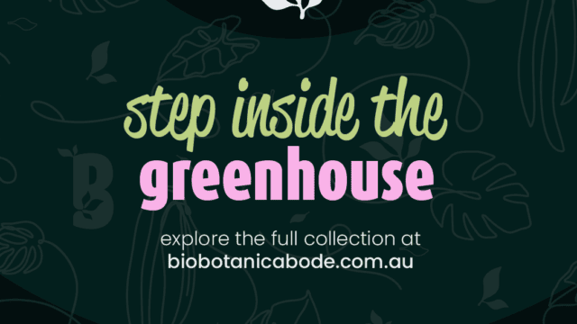 Biobotanic-Abode-Hervey-Bay-Just-Locals-Image-8