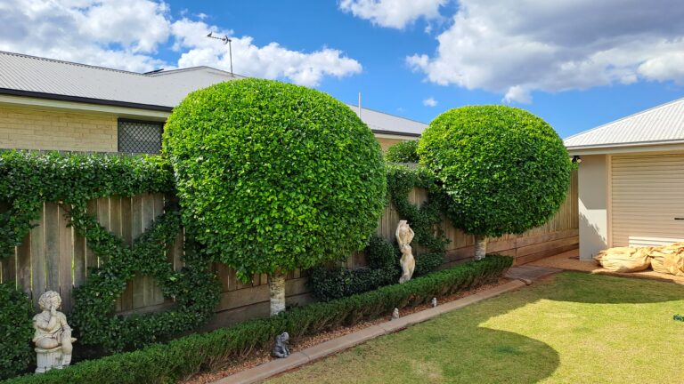 Whisper Snipper Eco Garden Services — photo 2