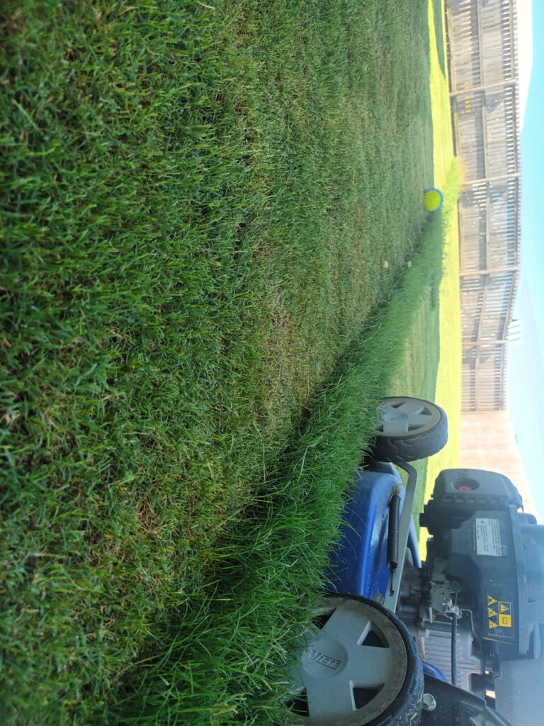 SAS Lawn Mowing — photo 3