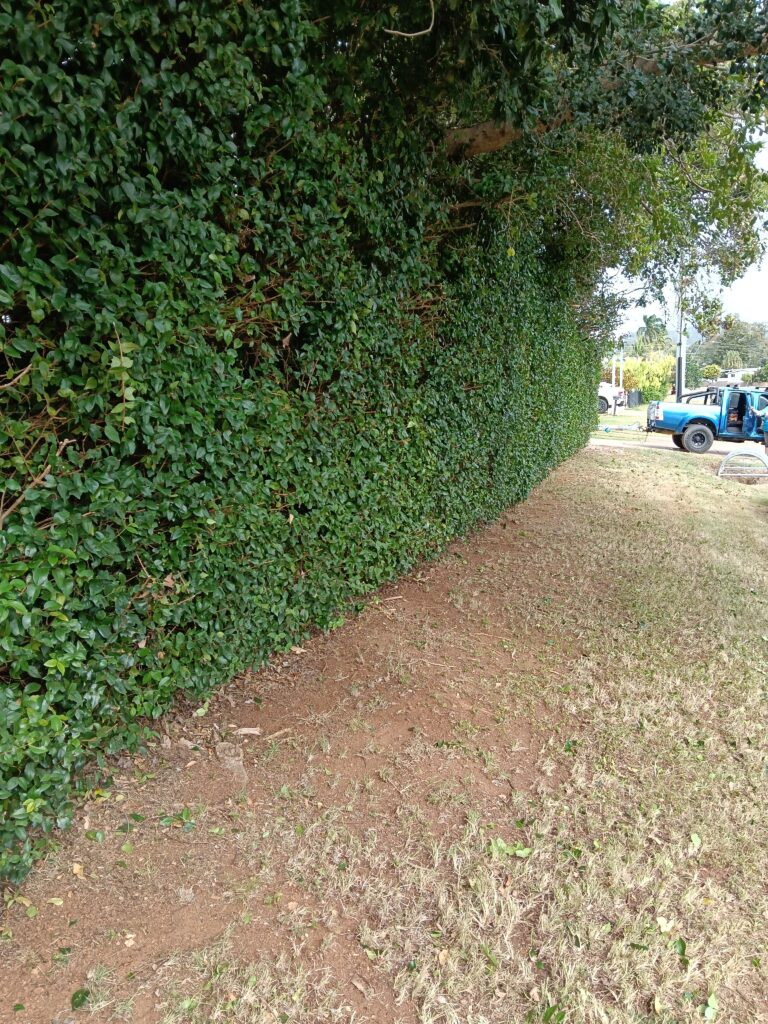 SAS Lawn Mowing — photo 2